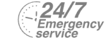 24/7 Emergency Service Pest Control in St Paul's, Fleet Street, EC4. Call Now! 020 8166 9746