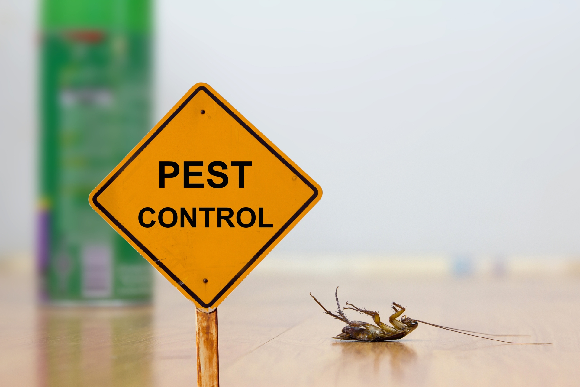24 Hour Pest Control, Pest Control in St Paul's, Fleet Street, EC4. Call Now 020 8166 9746